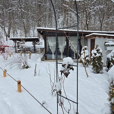 Pensiunea Lui Calin Ocnele Mari Exteriér fotografie