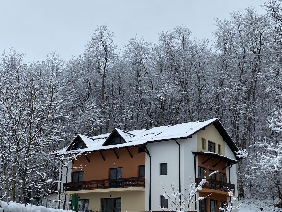 Pensiunea Lui Calin Ocnele Mari Exteriér fotografie