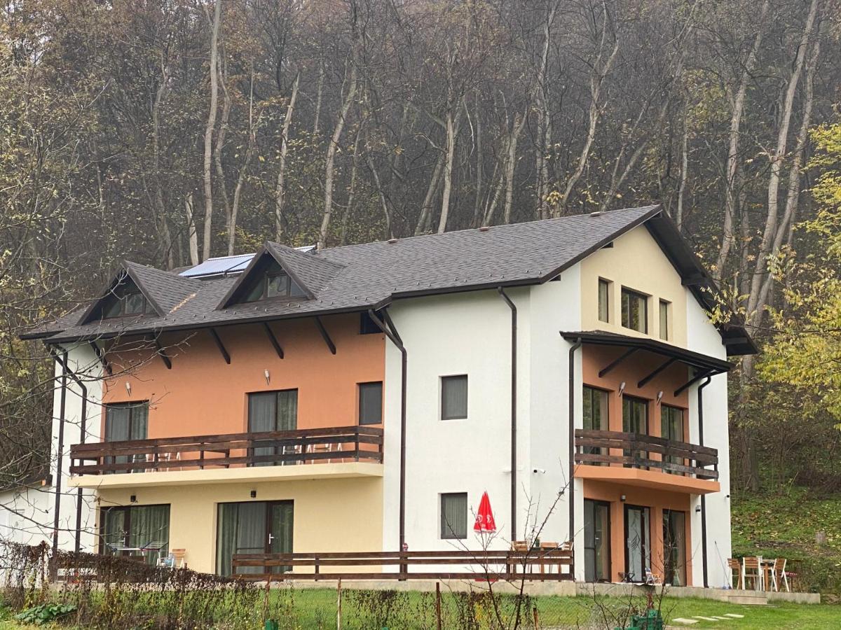 Pensiunea Lui Calin Ocnele Mari Exteriér fotografie