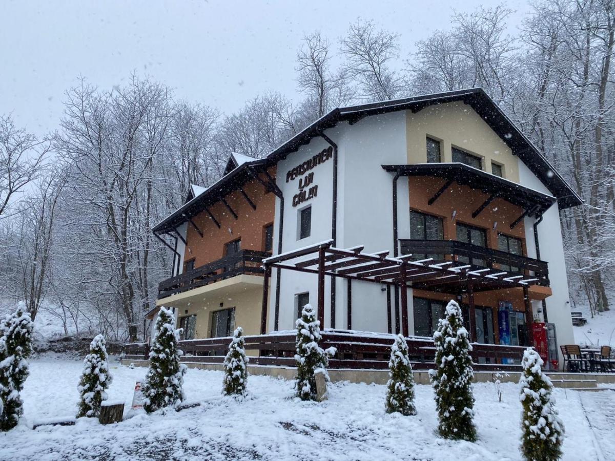 Pensiunea Lui Calin Ocnele Mari Exteriér fotografie