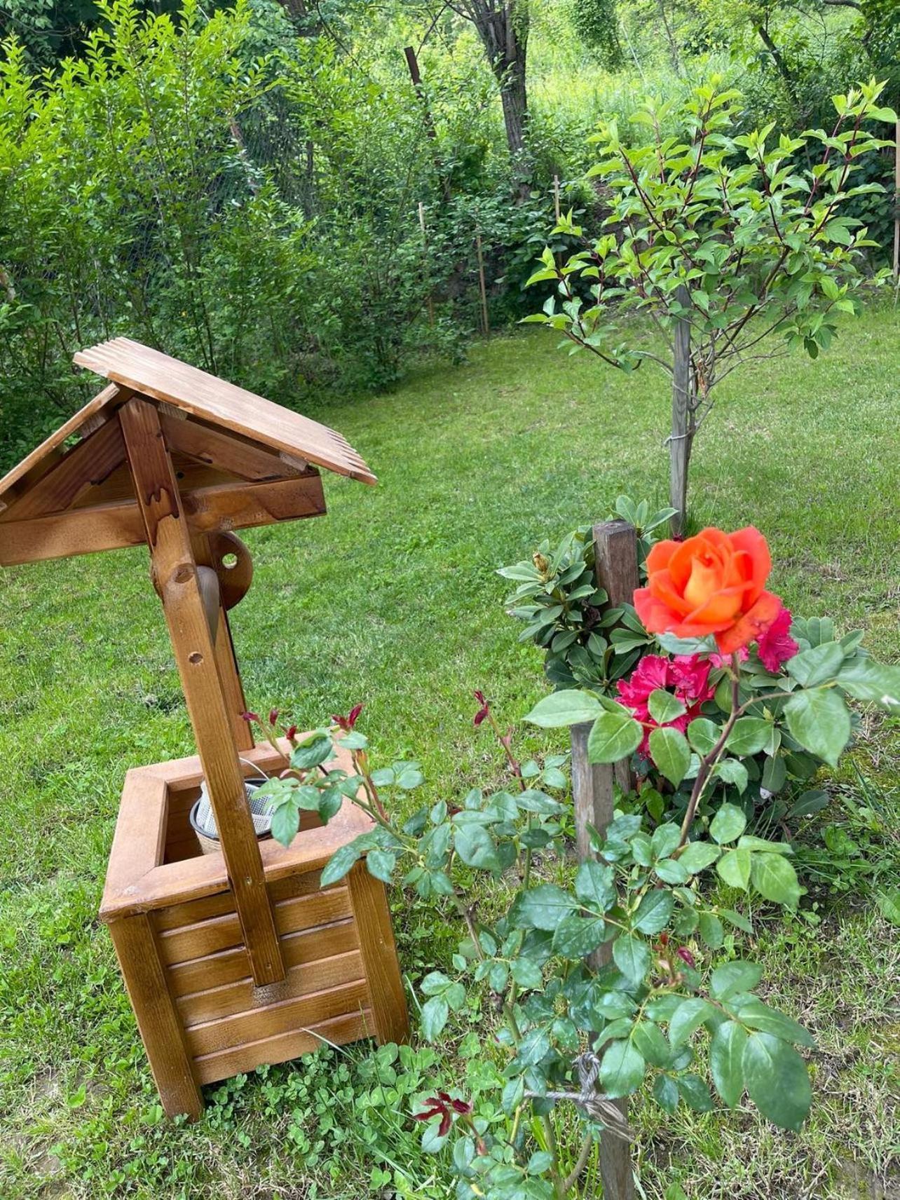 Pensiunea Lui Calin Ocnele Mari Exteriér fotografie